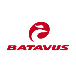 Batavus oplader met 5-polige ronde stekker