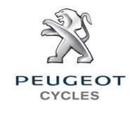 Peugeot fietsaccu