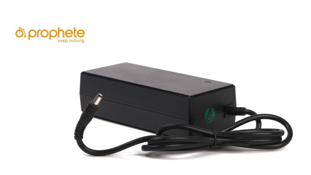 Prophete charger (42V, 2 Ah) with 2-pole 5.5 x 2.1 charging plug for 36 V Li-ION batteries - RAP elektrische fietsen