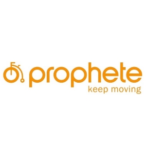 Prophete fietsaccu
